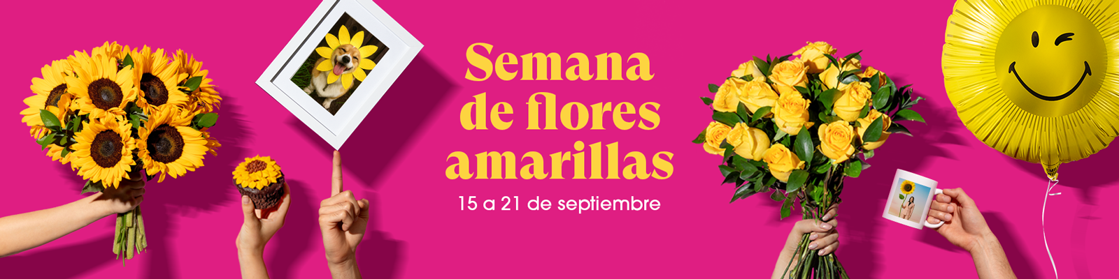 envia flores