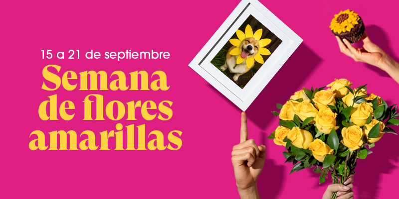 envia flores